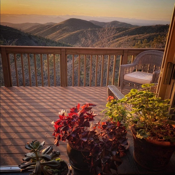 Meet your Posher, Carrie - Picture 3 of 3